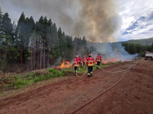 Proteção Civil dos Açores aposta na formação em extinção de incêndios rurais